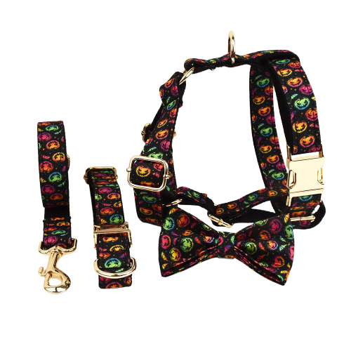 Projekt bez nazwy (26).png