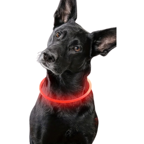 Projekt bez nazwy (31).png