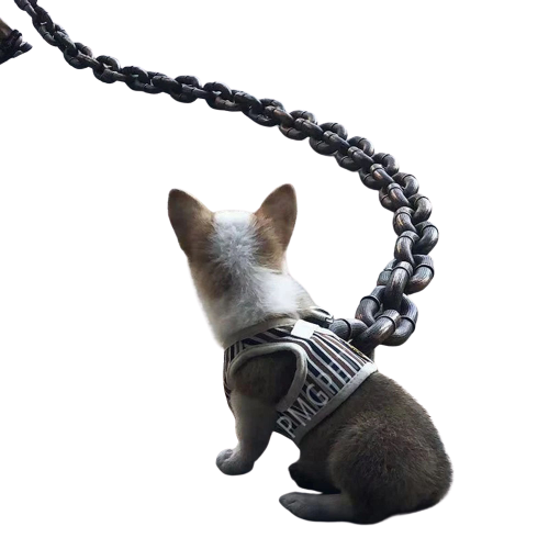 Projekt bez nazwy (34).png