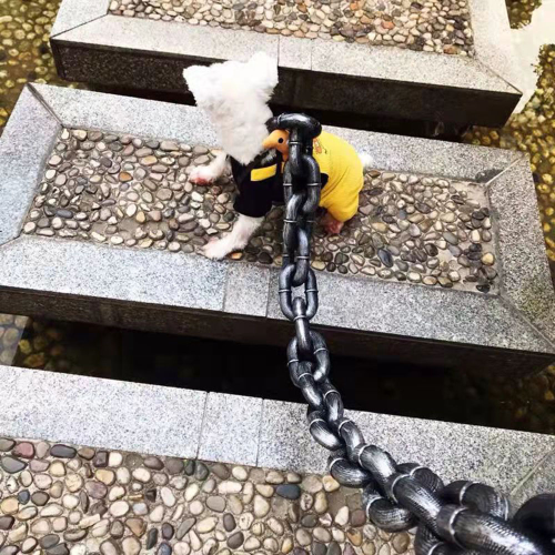 Projekt bez nazwy (35).png