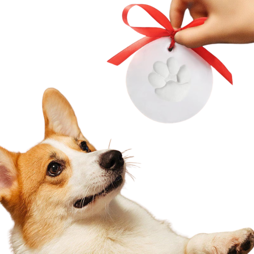 Projekt bez nazwy - 2026-04-08T171847.446.png