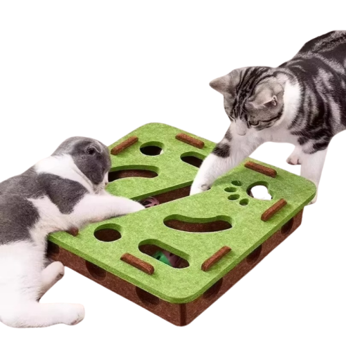 Projekt bez nazwy - 2026-04-09T151344.605.png