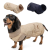Sd8859d4a56e3457d8ef947c54881243do.png