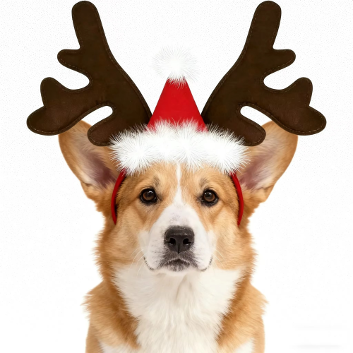 S9128601951e347d28a34c76358a610c5K.png