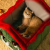 S1ddb2e96847a40b3bf28cb082ba1b5d4B.png