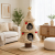 Sadb14108f43e457faaf59ee4036eeb8bB.png