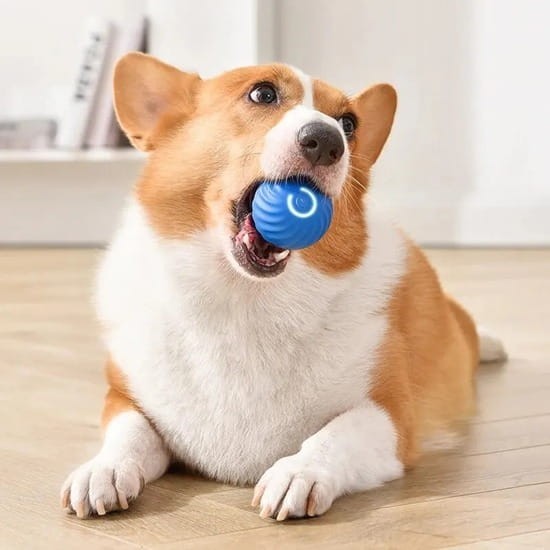 4278