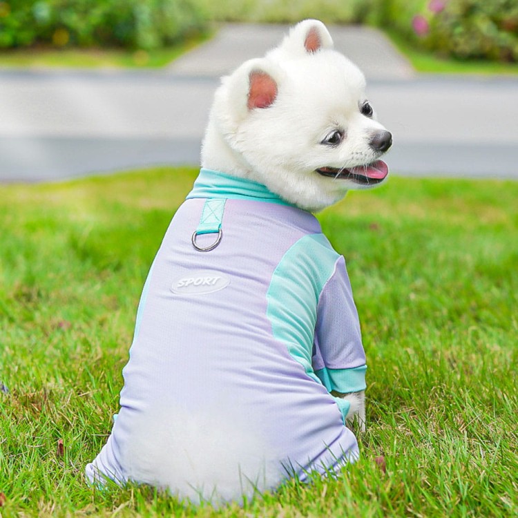 4564