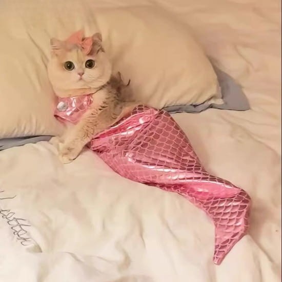 4893