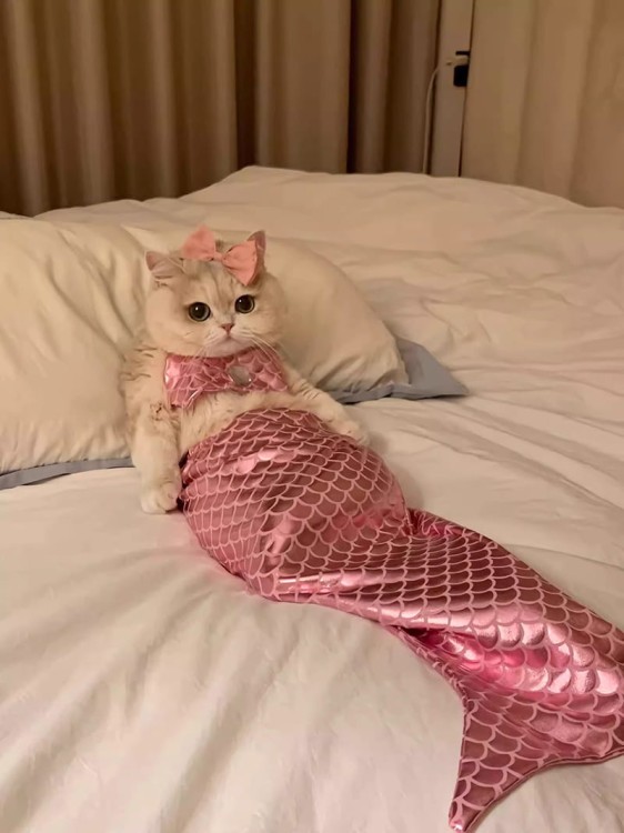 4895