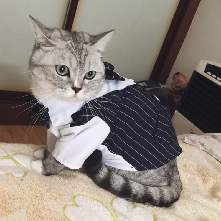 4905